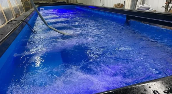 40Ft Container Swimming Pools - Image 4