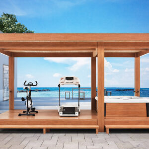 Gazebo LT10