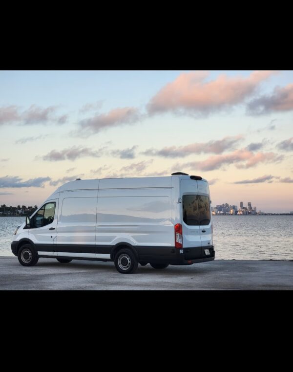 2018 Ford Transit 2WD (LOUIS)